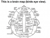 E228A560-6F50-462F-AACD-D41DDF1944D8.png