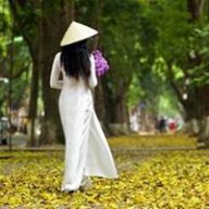 minh tam