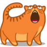 moshie